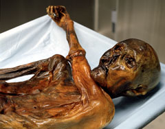 Otzi la mummia del Similaun