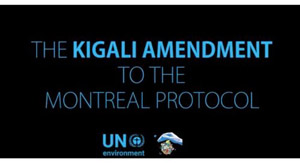 Emendamento di Kigali